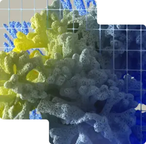 Chemical – Ili Digital Chemical Ili Digital