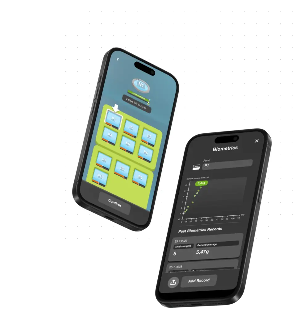 Shrimp_app_mockup_02 – Ili Digital Shrimp App Mockup 02 Ili Digital